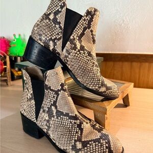 Steve Madden “Cade” Snake Print Almond Toe Chelsea Booties